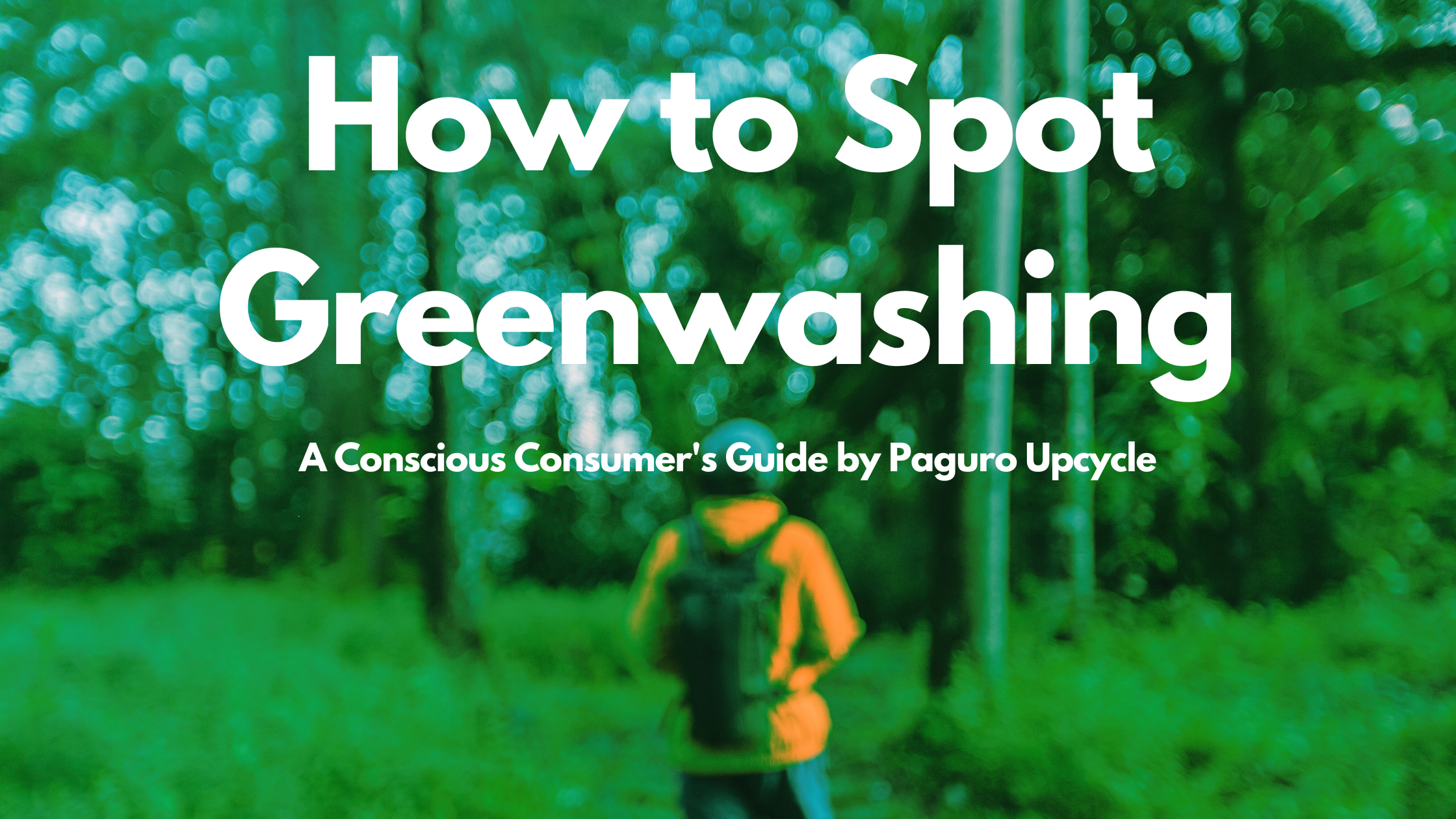 How to Spot Greenwashing: A Conscious Consumer's Guide