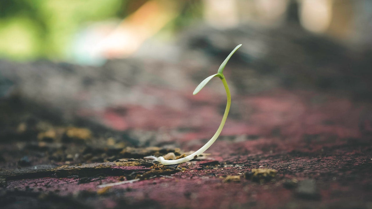 Think Small. Think Independent. And Think Sustainable.