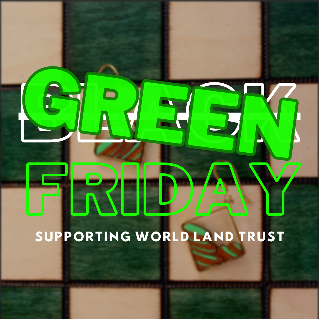 Black Friday Goes Green: Staying Sustainable On A Budget